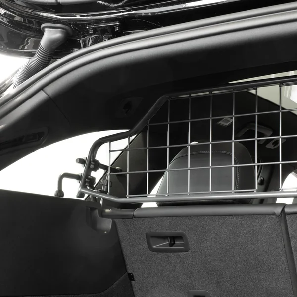 Audi A6 Avant Dog Guard (2025-)