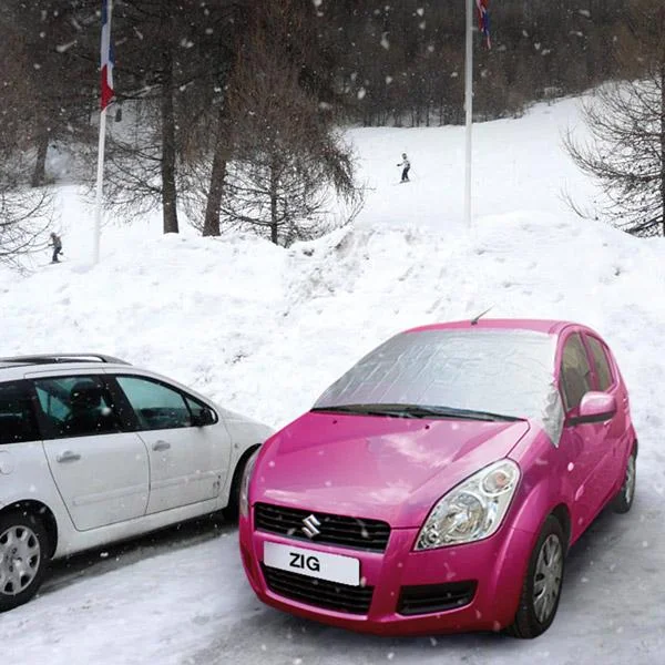 Bâche anti-givre rose + Raclette OFFERTE