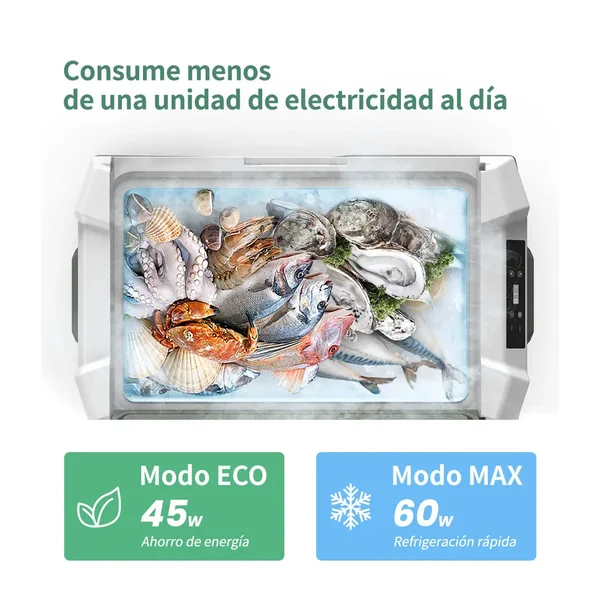 Frigo Voiture 12V Silencieux 45dB | Glacière -20°C Port USB