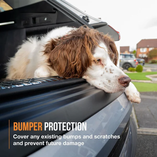 Mini 5 Hatchback Bumper Protector (2021-2024)