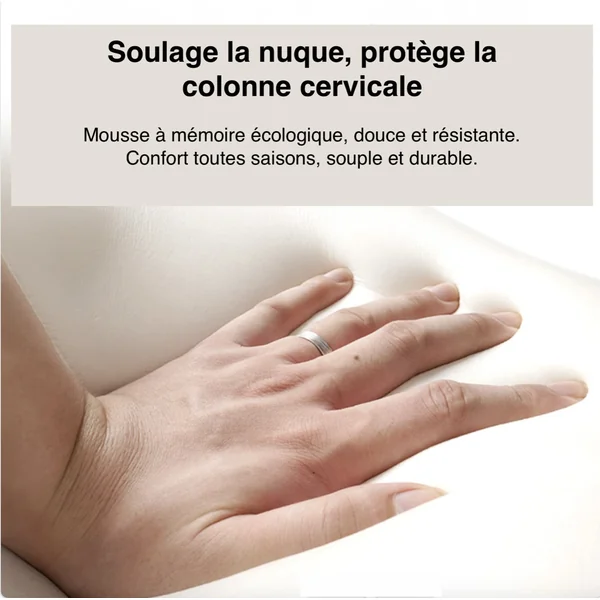 Pack Coussin Lombaire Cervical Voiture -50% | Matscarlux